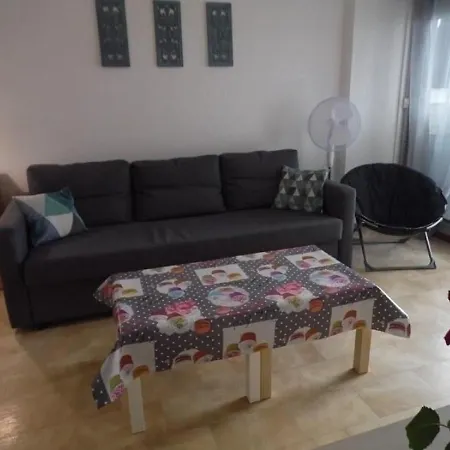 Appartement Cosy à 200m De La Avec Parking Privé Et Loggia, Animaux Admis - Fr-1-326-668
