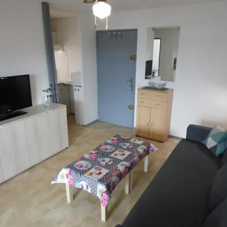 Appartement Cosy à 200m De La Avec Parking Privé Et Loggia, Animaux Admis - Fr-1-326-668
