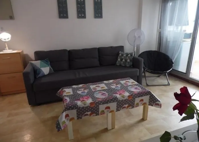 Apartment Cosy A 200m De La Avec Parking Prive Et Loggia, Animaux Admis - Fr-1-326-668