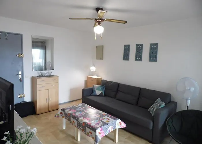 Cosy A 200m De La Avec Parking Prive Et Loggia, Animaux Admis - Fr-1-326-668